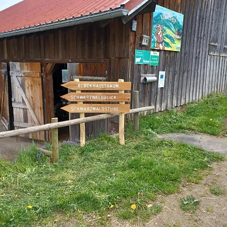 Appartamento Schwarzwaldstube Titisee-Neustadt