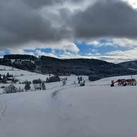 Schwarzwaldstube * Titisee-Neustadt