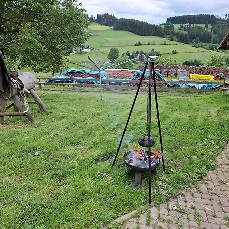 Schwarzwaldstube * Titisee-Neustadt