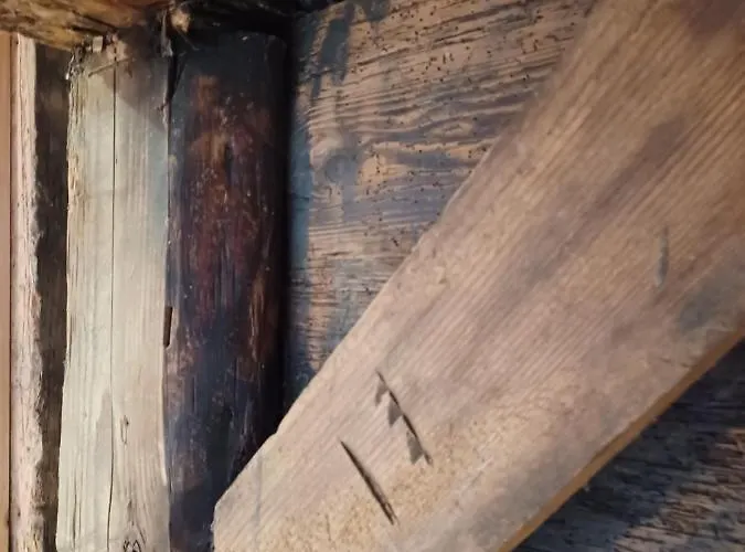 Schwarzwaldstube * ティティゼー・ノイシュタット