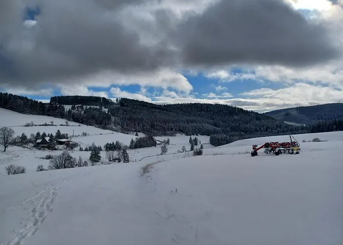 Schwarzwaldstube * ティティゼー・ノイシュタット